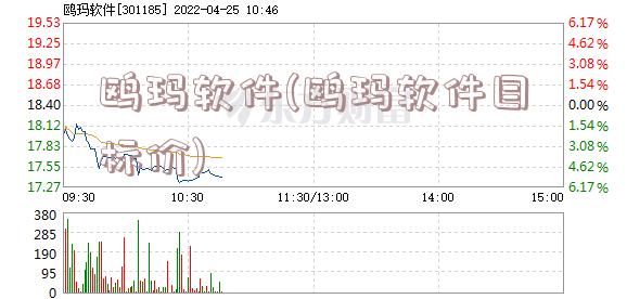 鸥玛软件(鸥玛软件目标价)