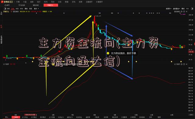 主力资金流向(主力资金流向通达信)