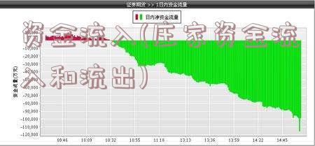 资金流入(庄家资金流入和流出)