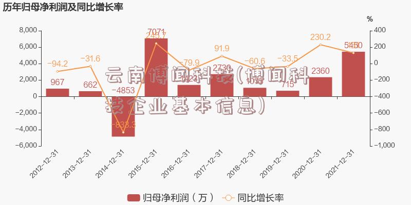 云南博闻科技(博闻科技企业基本信息)