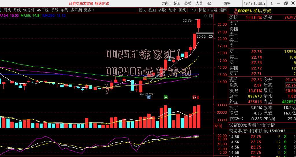 002561徐家汇(002406远东传动)
