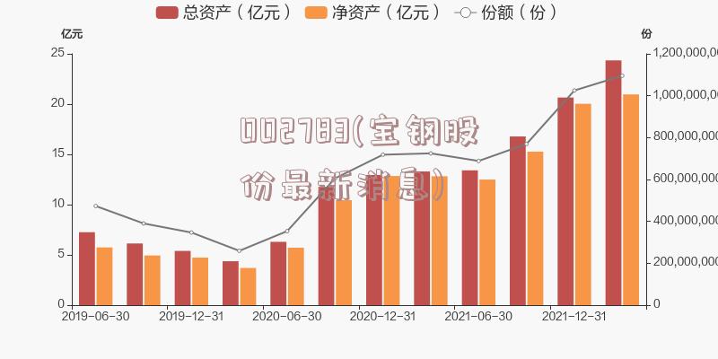 002783(宝钢股份最新消息)