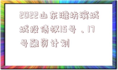 2022山东潍坊滨城城投债权15号、17号融资计划