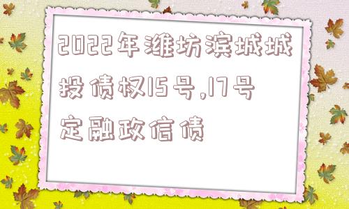 2022年潍坊滨城城投债权15号,17号定融政信债