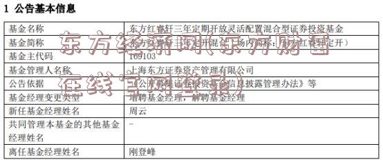 东方经济网(东方财富在线官网登录)