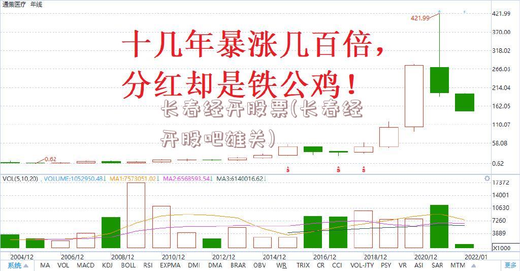 长春经开股票(长春经开股吧雄关)