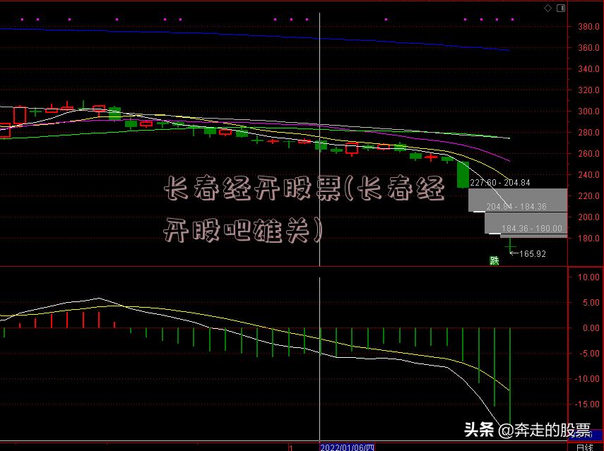 长春经开股票(长春经开股吧雄关)