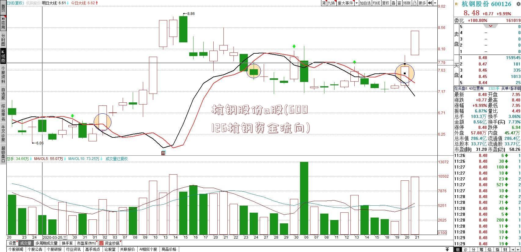 杭钢股份a股(600126杭钢资金流向)