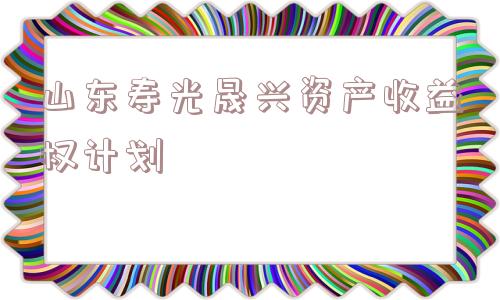 山东寿光晟兴资产收益权计划