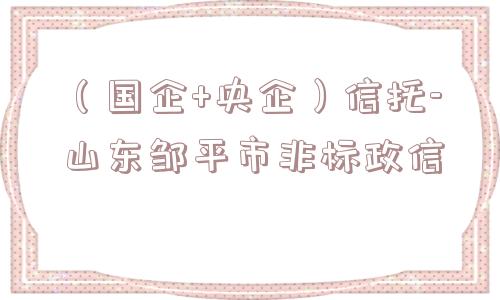 （国企+央企）信托-山东邹平市非标政信