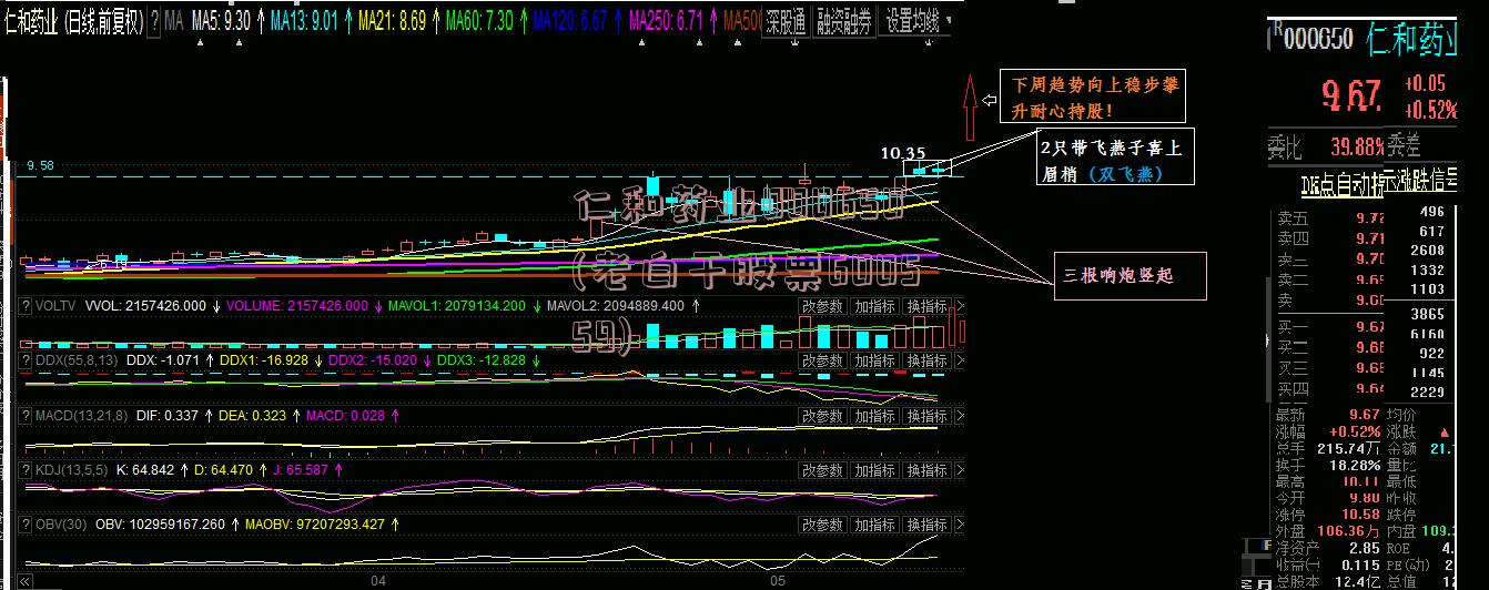 仁和药业000650(老白干股票600559)