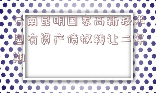 云南昆明国家高新技术国有资产债权转让二年期