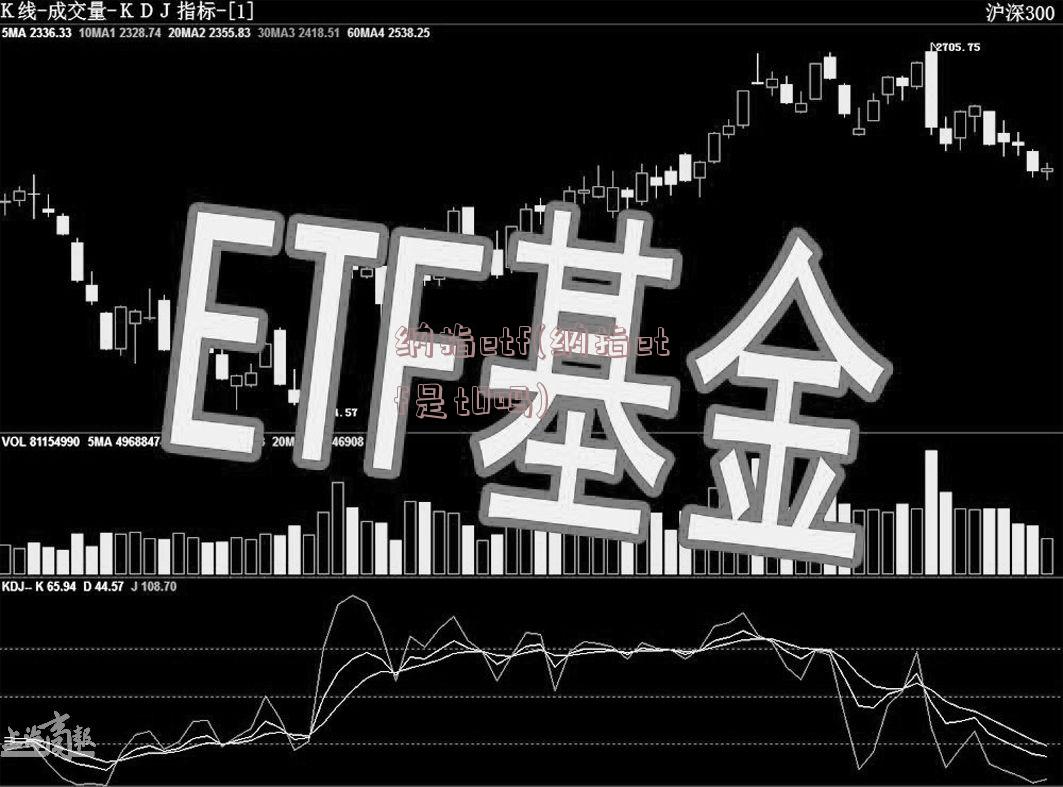 纳指etf(纳指etf是t0吗)