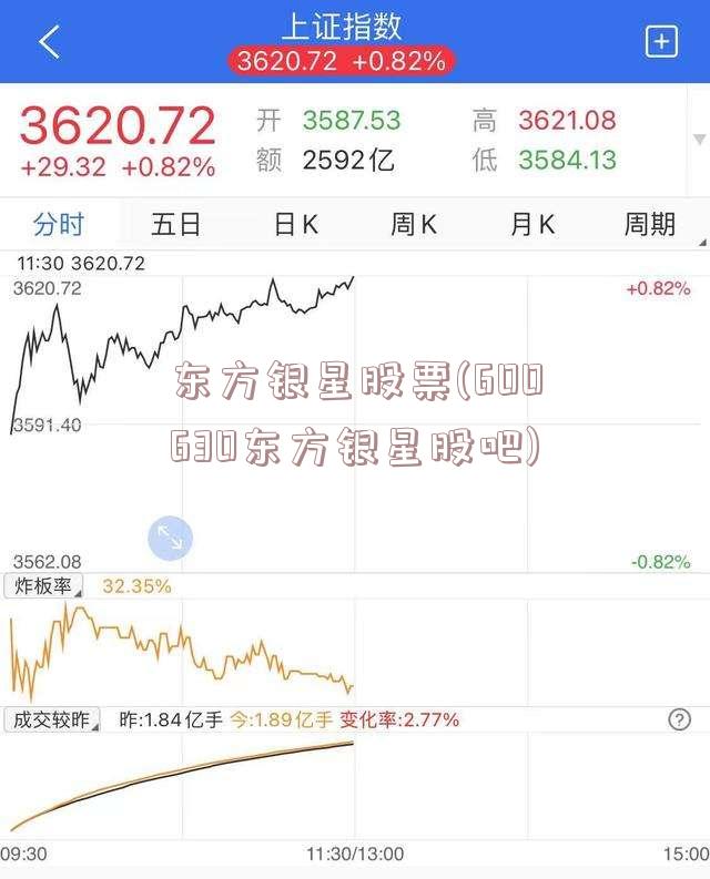 东方银星股票(600630东方银星股吧)