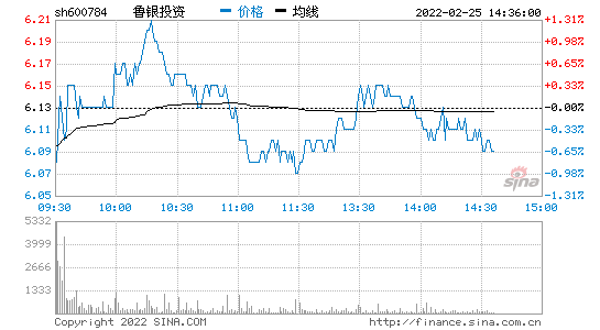 鲁银投资(山东鲁银是国企吗)