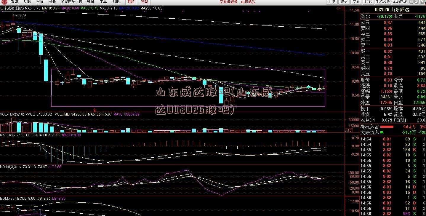 山东威达股吧(山东威达002026股吧)