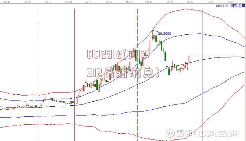002312(002312最新消息)