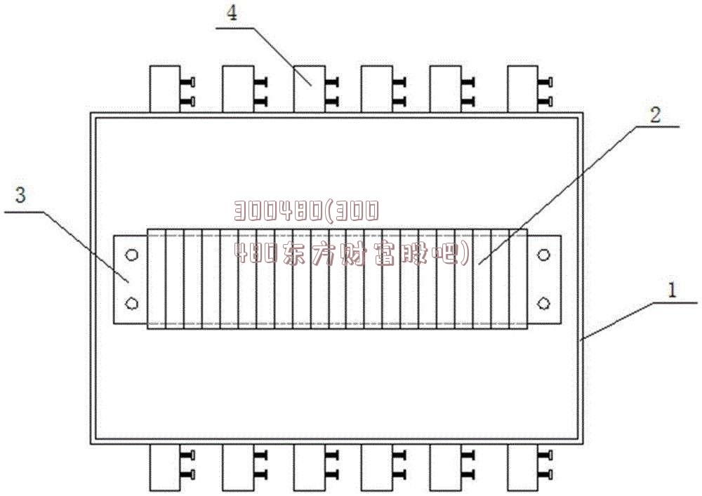 300480(300480东方财富股吧)