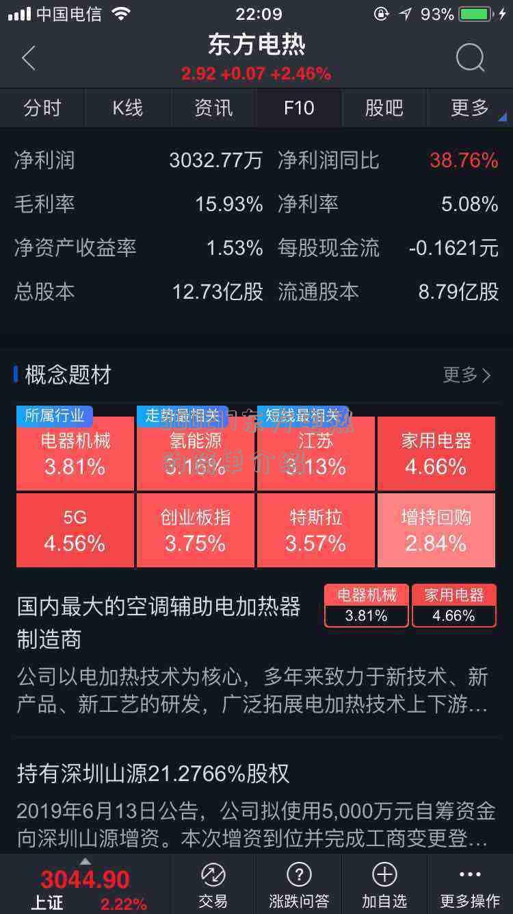 300217东方电热的简单介绍