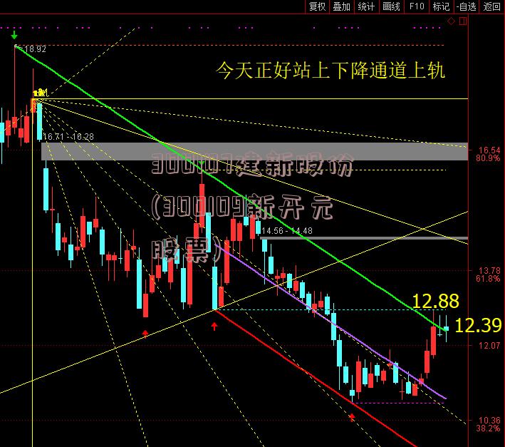 300107建新股份(300109新开元股票)