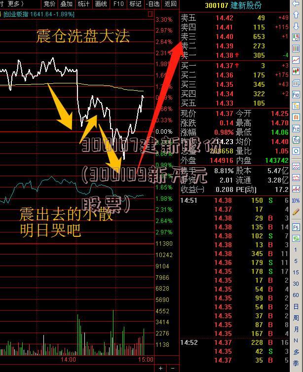 300107建新股份(300109新开元股票)