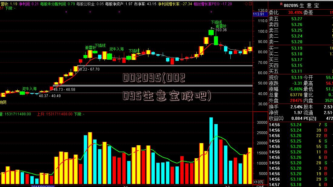 002095(002095生意宝股吧)