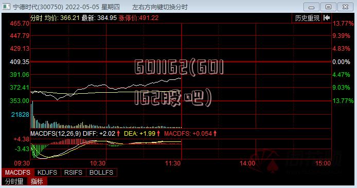 601162(601162股吧)