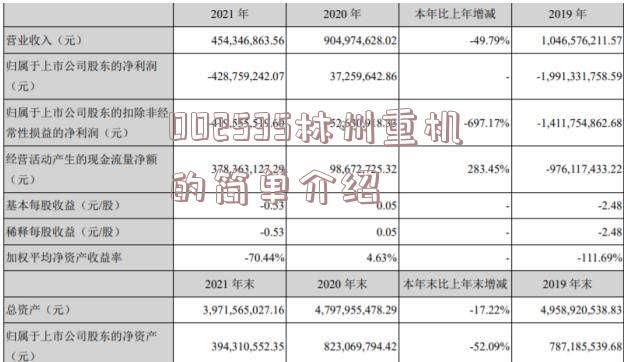 002535林州重机的简单介绍