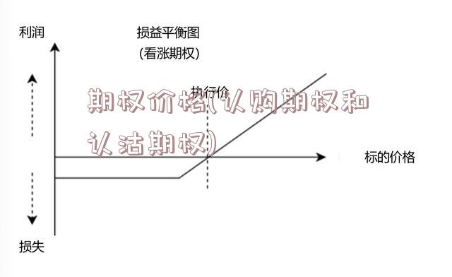 期权价格(认购期权和认沽期权)