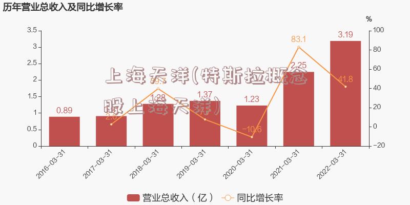 上海天洋(特斯拉概念股上海天洋)