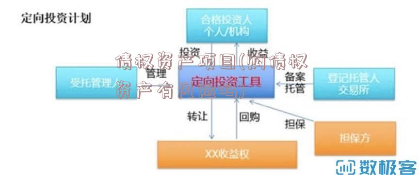 债权资产项目(购债权资产有风险吗)