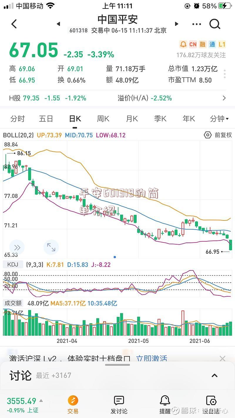 平安601318的简单介绍