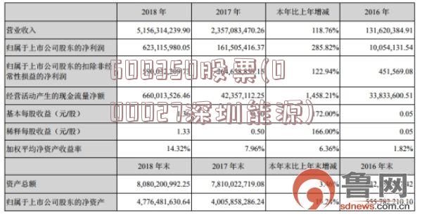 600350股票(000027深圳能源)