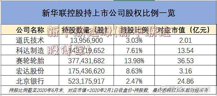 新华联控股(新华联控股傅军)