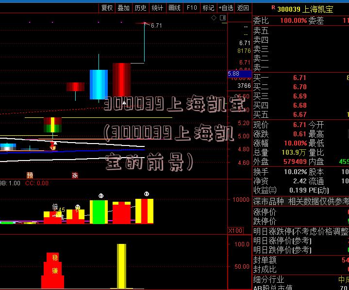 300039上海凯宝(300039上海凯宝的前景)