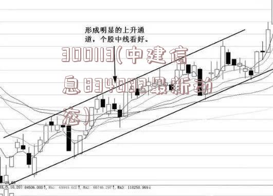 300113(中建信息834082最新动态)