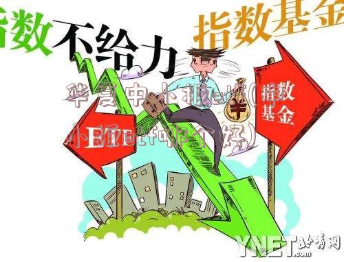 华夏中小板etf(中小板etf哪个好)