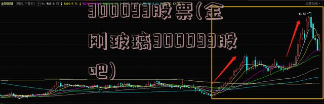 300093股票(金刚玻璃300093股吧)