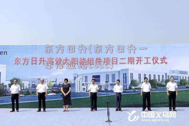 东方日升(东方日升一季度业绩2022)