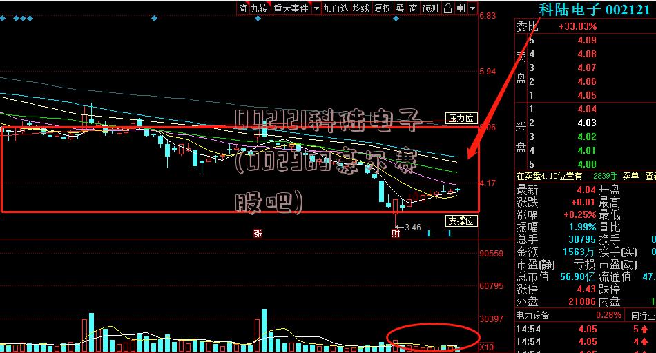 002121科陆电子(002963豪尔赛股吧)