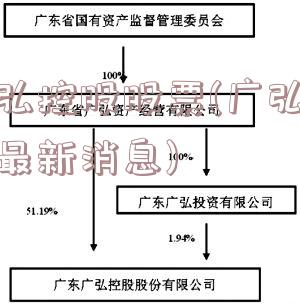 广弘控股股票(广弘控股最新消息)