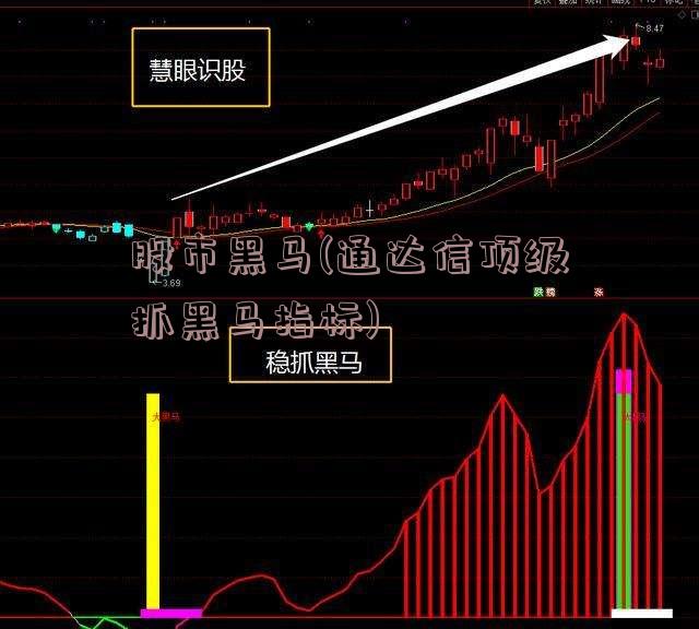 股市黑马(通达信顶级抓黑马指标)