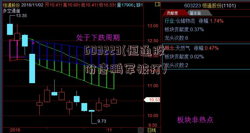 603223(恒通股份唐鹏军被打)