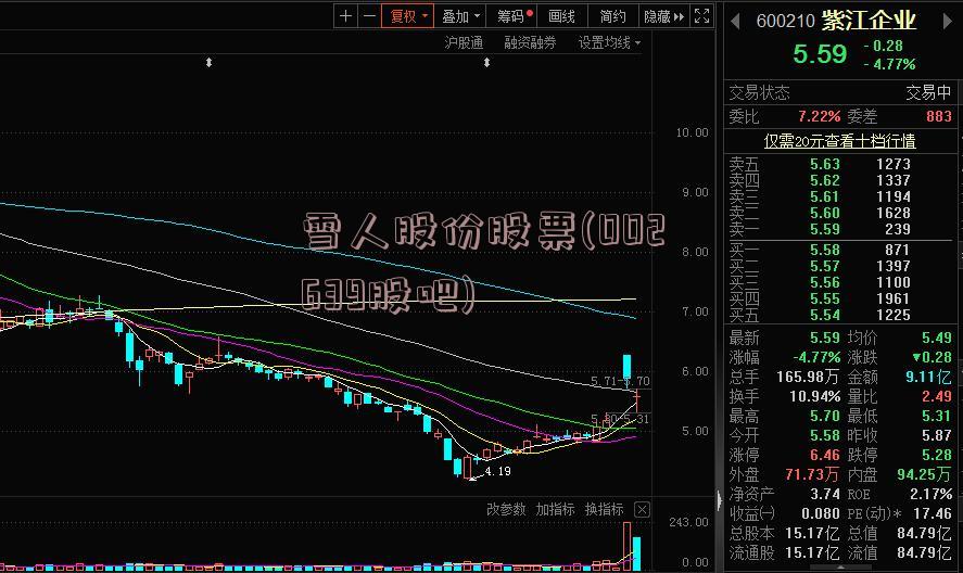雪人股份股票(002639股吧)