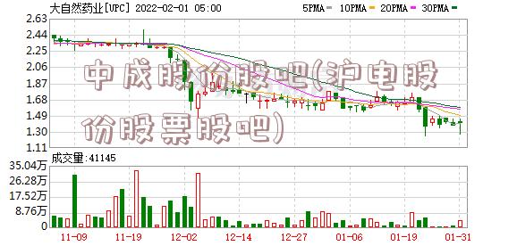 中成股份股吧(沪电股份股票股吧)