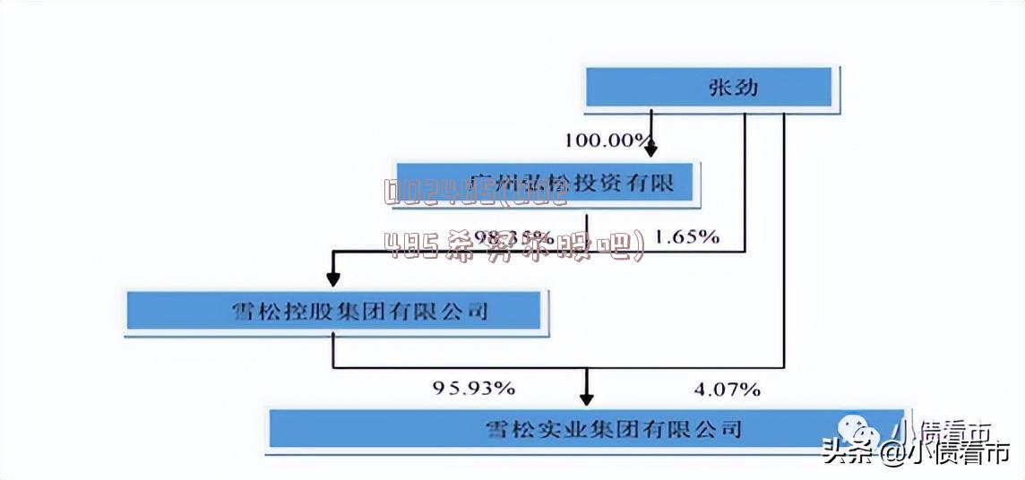 002485(002485希努尔股吧)