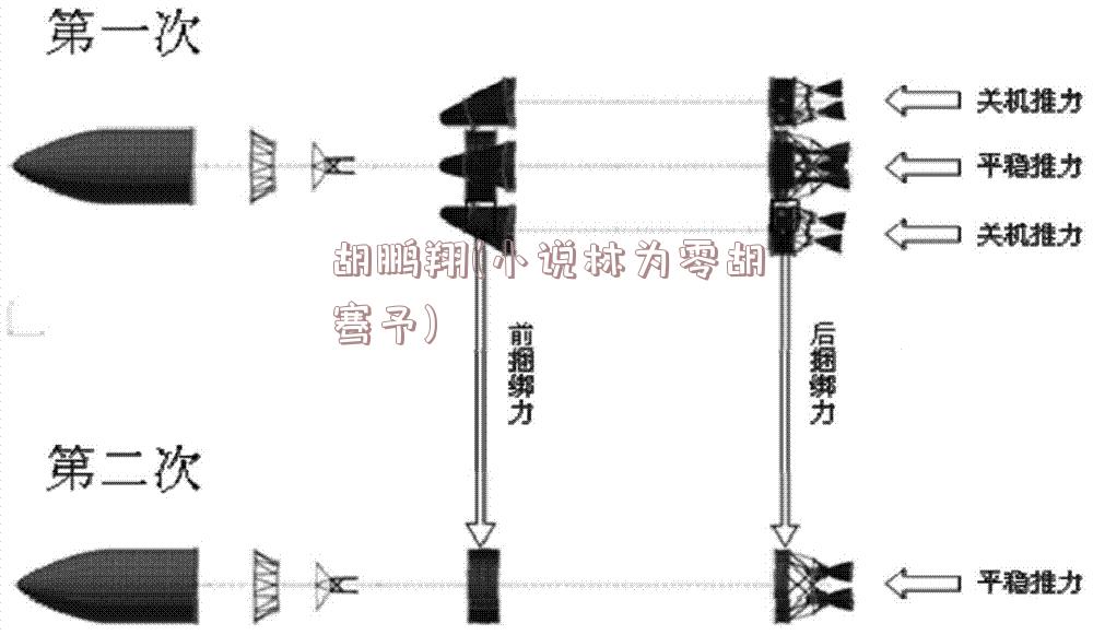 胡鹏翔(小说林为零胡骞予)