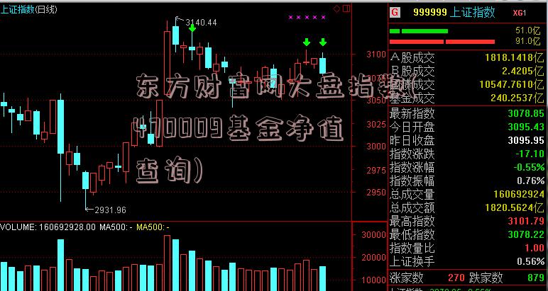 东方财富网大盘指数(470009基金净值查询)