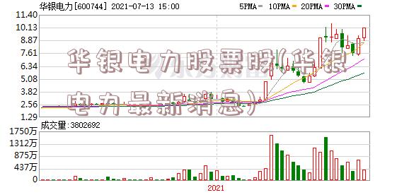 华银电力股票股(华银电力最新消息)