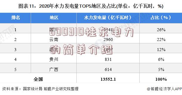 600310桂东电力的简单介绍